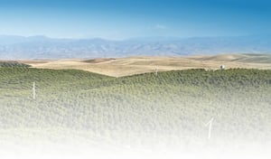 Bennett acquires CWS